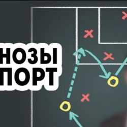 прогнозы на спорт