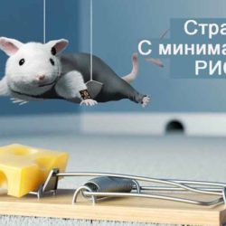Стратегии ставок с минимальным риском