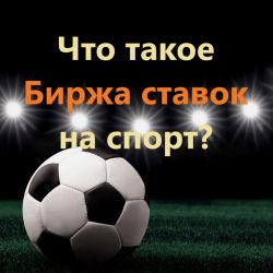 Биржа ставок на спорт что это?