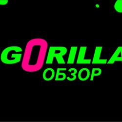 gorilla bet